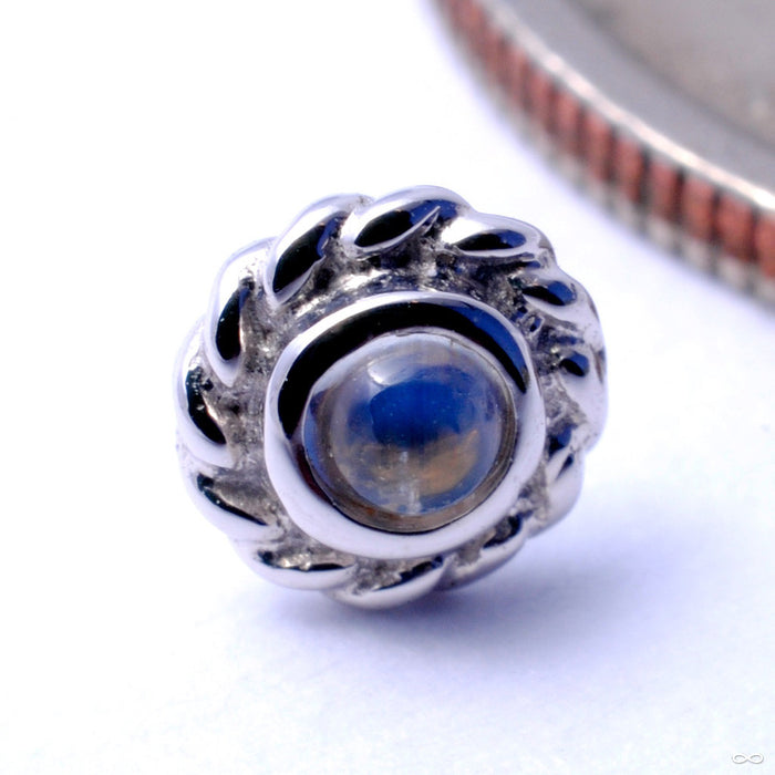 14k White Gold / Moonstone