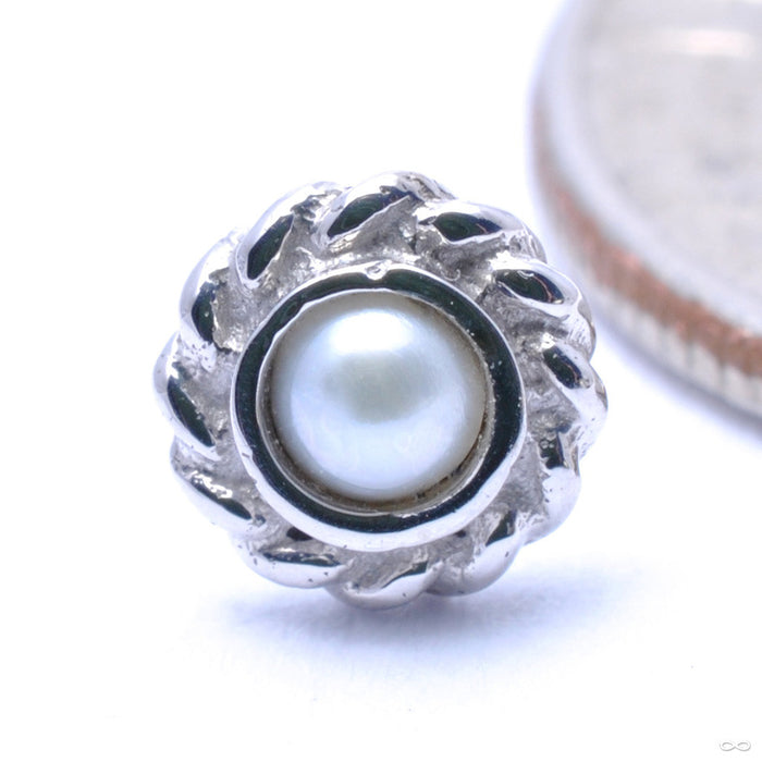 Mini Choctaw Press-fit End in Gold from BVLA with White Pearl