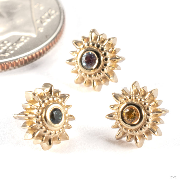 Mini Compass Press-fit End in Gold from BVLA group photo