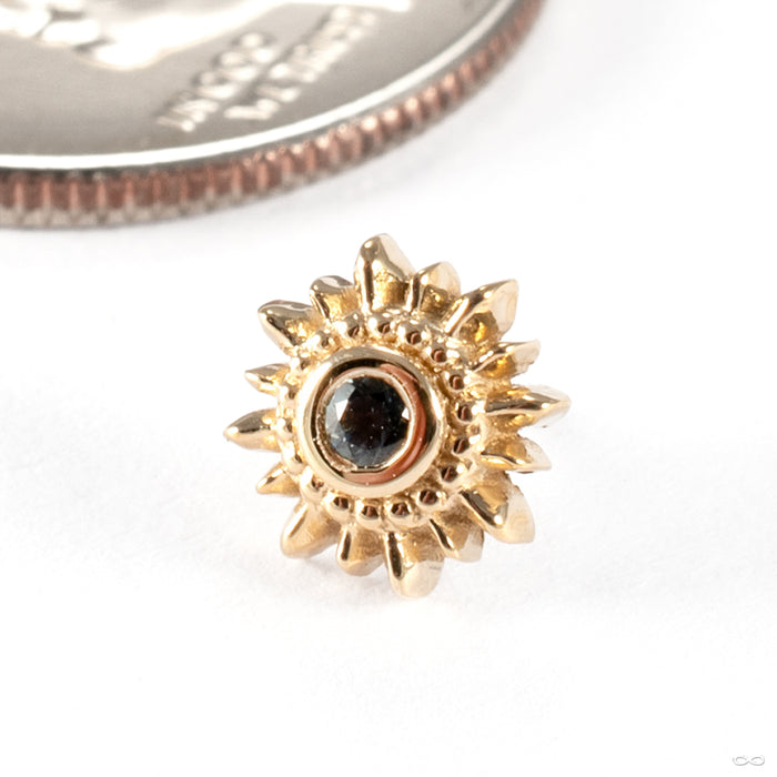 Mini Compass Press-fit End in 14k Yellow Gold with Chatham Alexandrite from BVLA