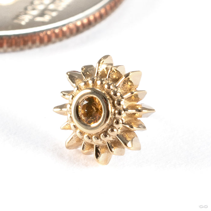 Mini Compass Press-fit End in 14k Yellow Gold with Honey Topaz from BVLA