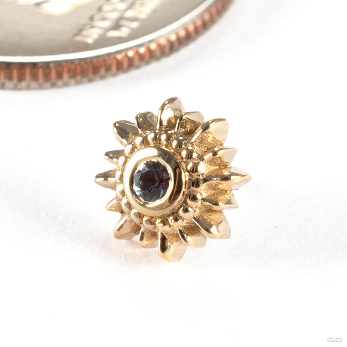 Mini Compass Press-fit End in 14k Yellow Gold with London Blue Topaz from BVLA