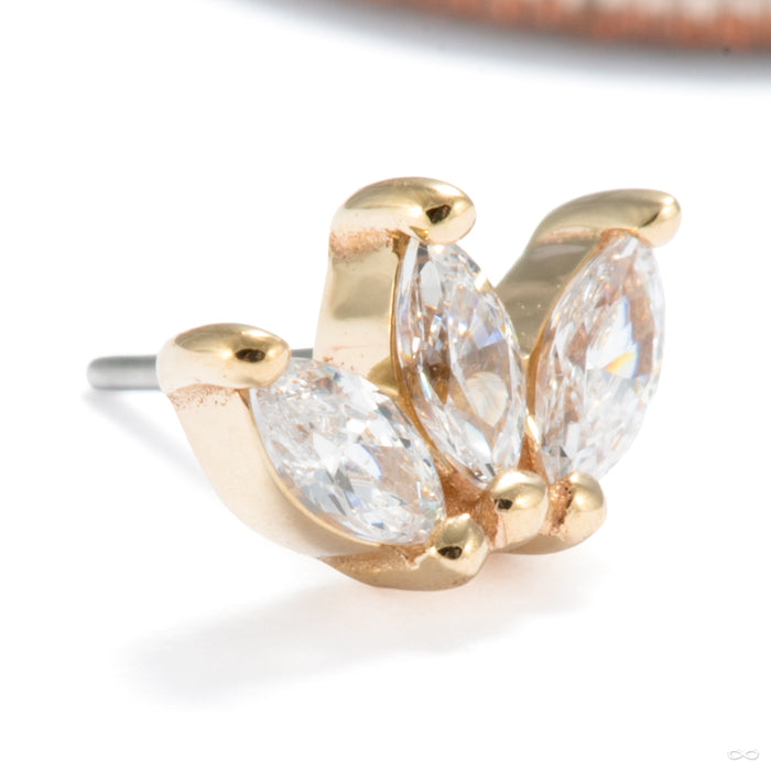 Mini Moet Press-fit End in 14k Yellow Gold with Clear CZ from Buddha Jewelry