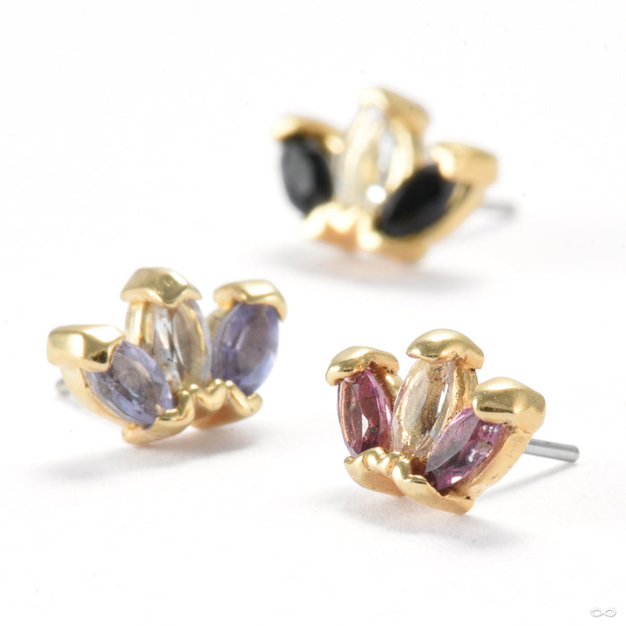 Mini Triple Marquise Press-fit End in Gold from Quetzalli in assorted materials