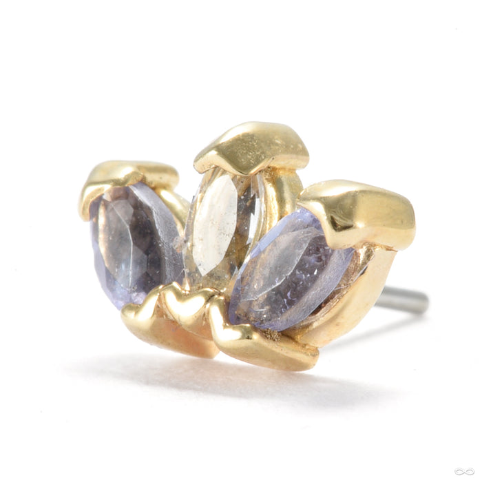 Mini Triple Marquise Press-fit End in Gold from Quetzalli with tanzanite & white sapphire