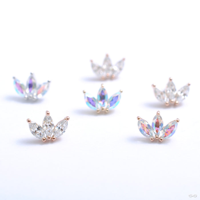 Moet Press-fit End in Gold from Buddha Jewelry in assorted materials
