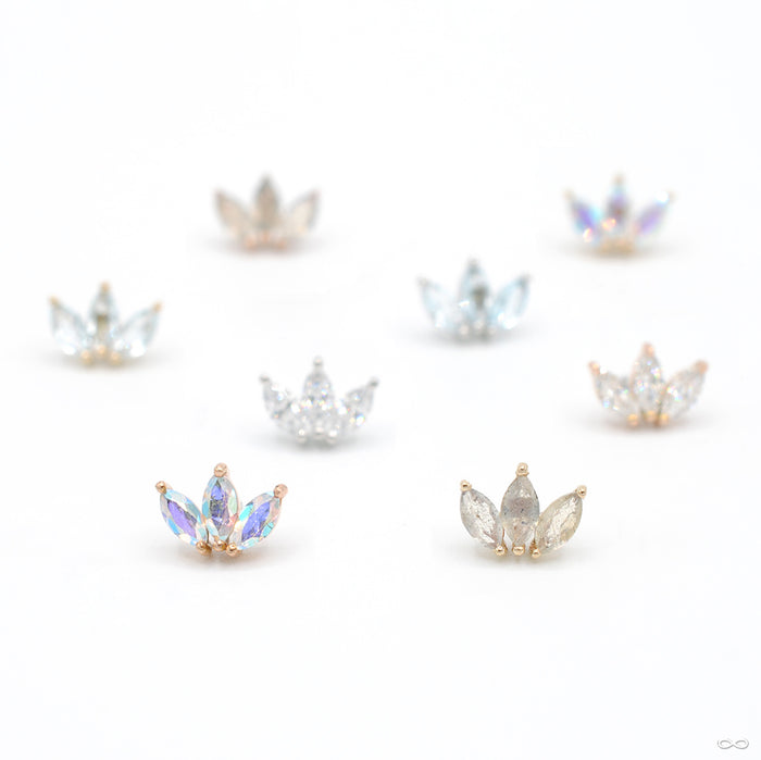 Moet Press-fit End in Gold from Buddha Jewelry in assorted materials