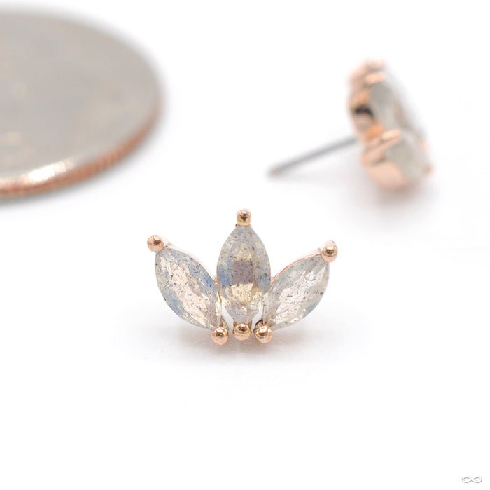 Moet Press-fit End in Gold from Buddha Jewelry with labradorite