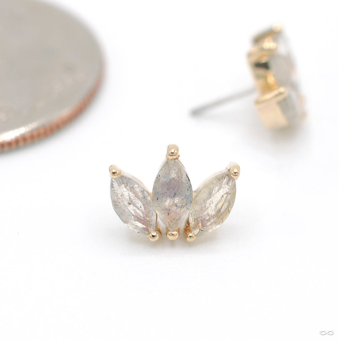 Moet Press-fit End in Gold from Buddha Jewelry with labradorite