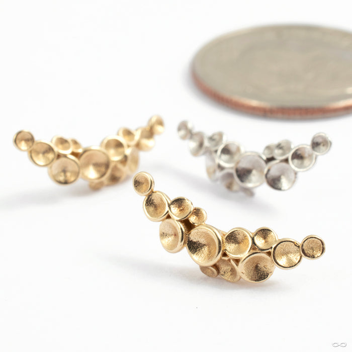 Neptune Press-Fit End in Gold from Tawapa in various materials