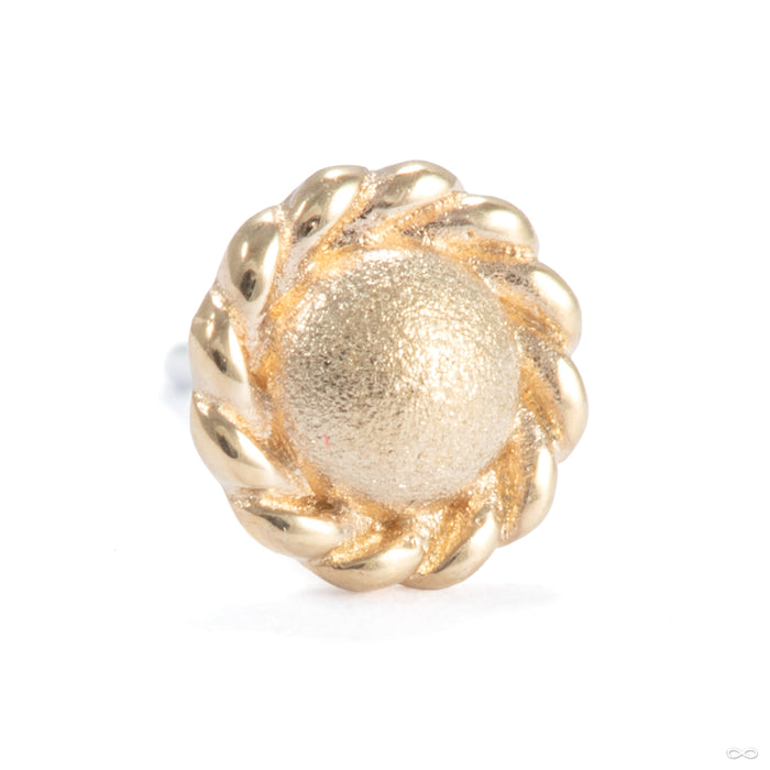 Nova Press-fit End in 14k Yellow Gold from Ember Body Jewelry