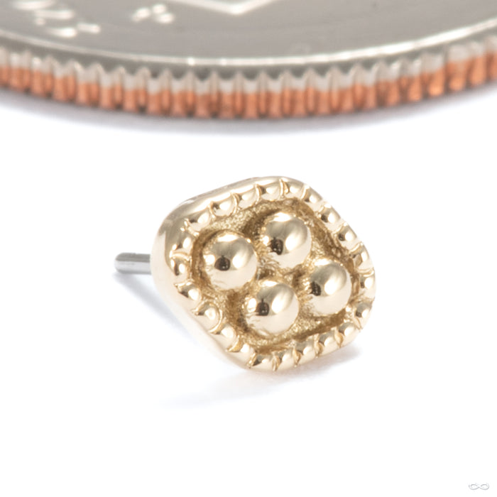 Obscur Press-fit End in 14k Yellow Gold from Seasons Handmade