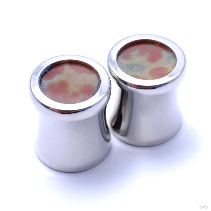 Ocean Jasper Cabochon Plugs in 00g from Reign