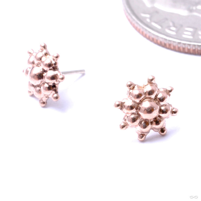 October Burst Press-fit End in Gold from Regalia in rose gold
