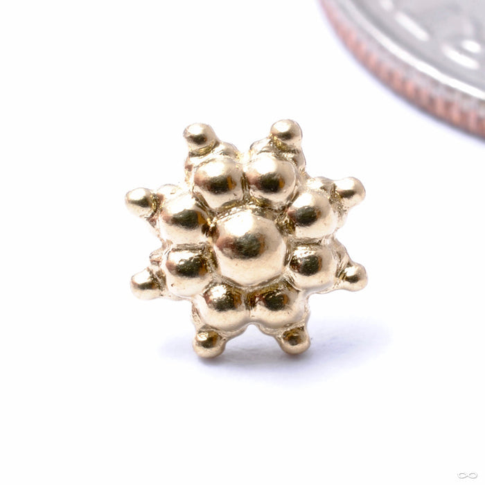 October Burst Press-fit End in Gold from Regalia in yellow gold