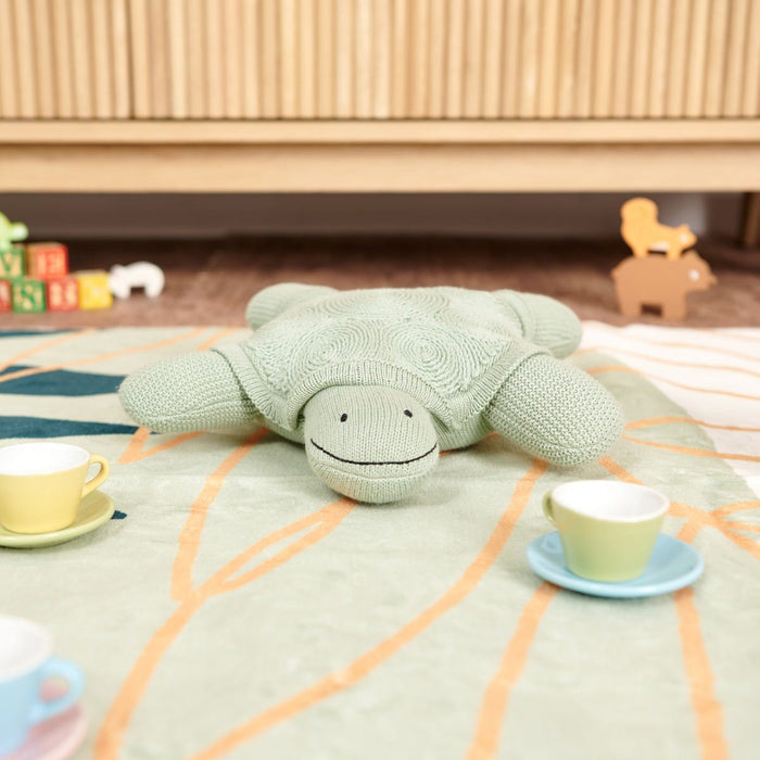Terry the Turtle