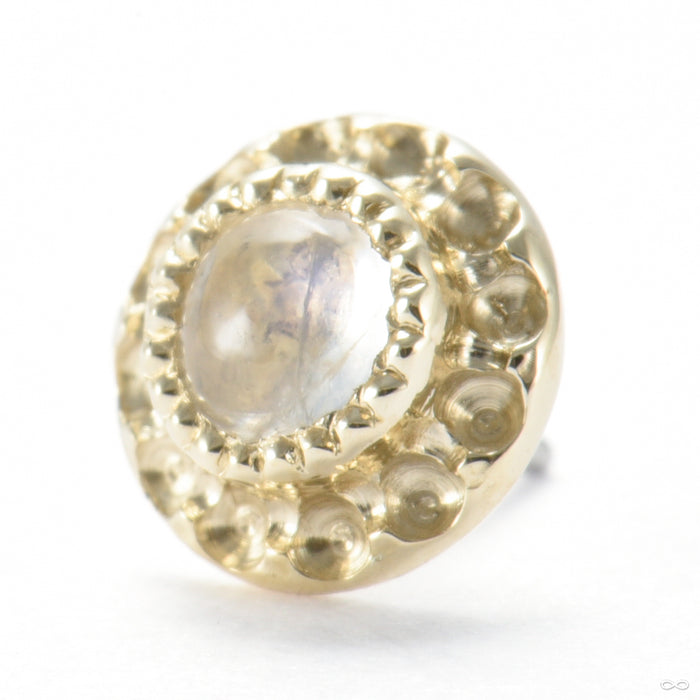 Origin Press-fit End in Gold from Seasons Handmade with moonstone
