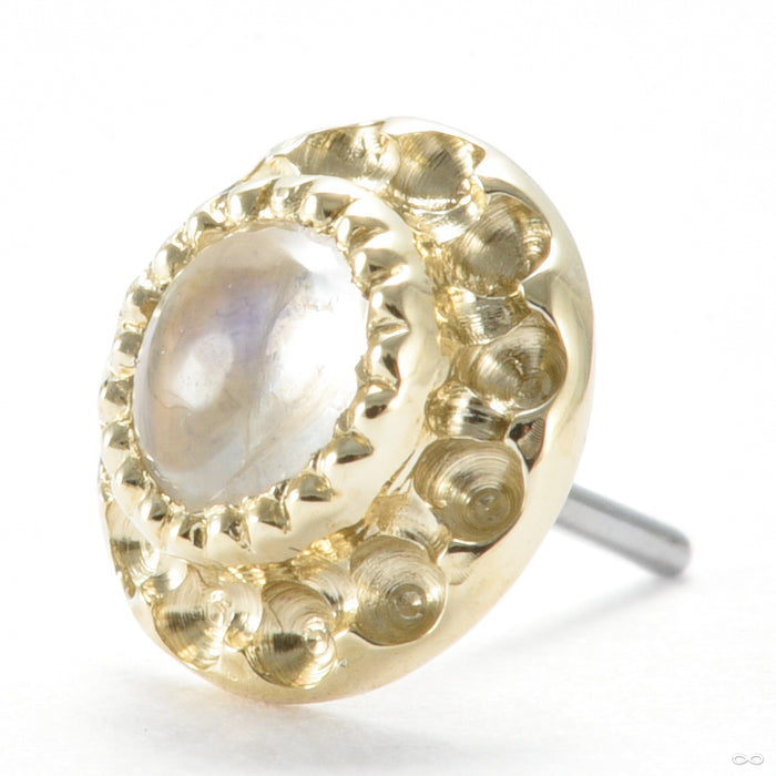 Origin Press-fit End in Gold from Seasons Handmade with moonstone