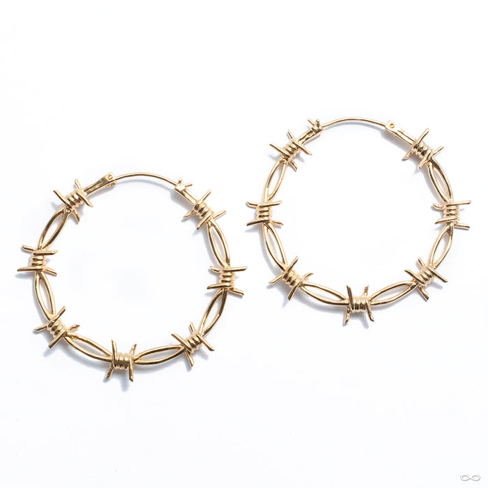 Pamela Earrings from Maya Jewelry in brass