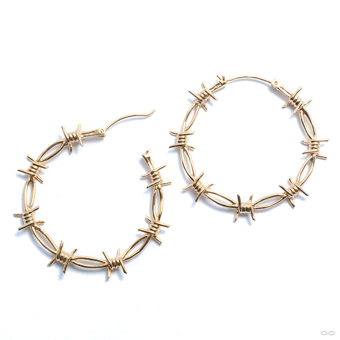Pamela Earrings from Maya Jewelry in brass