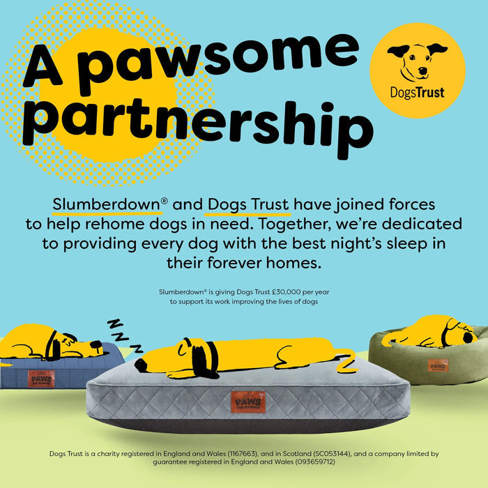 Paws for Slumber Luxury pet bed Slumberdown