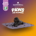 Paws for Slumber Multipurpose Waterproof Mats (2-pack) Slumberdown