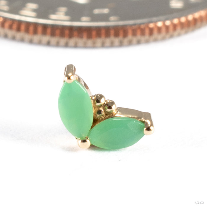Petals Press-fit End in 14k Yellow Gold with Chrysoprase from BVLA