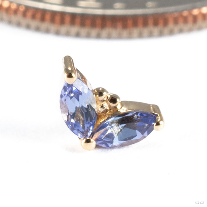 Petals Press-fit End in 14k Yellow Gold with Tanzanite from BVLA