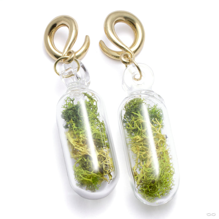 Pill Terrarium Weights with Brass Hooks from Uzu Organics inn medium