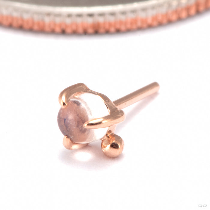 Pippa Dot Press-fit End in 14k Rose Gold with Moonstone from Modern Mood