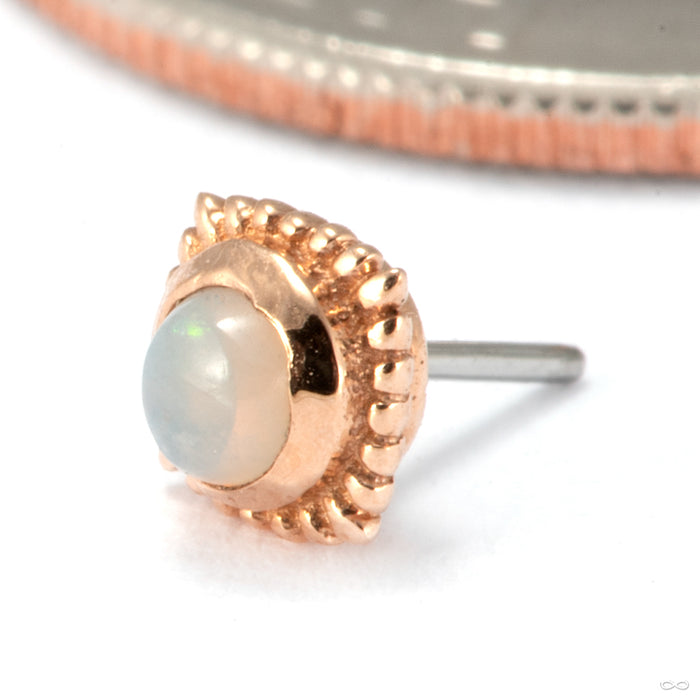 Plume Press-fit End in 14k Rose Gold in White Opal from Tawapa
