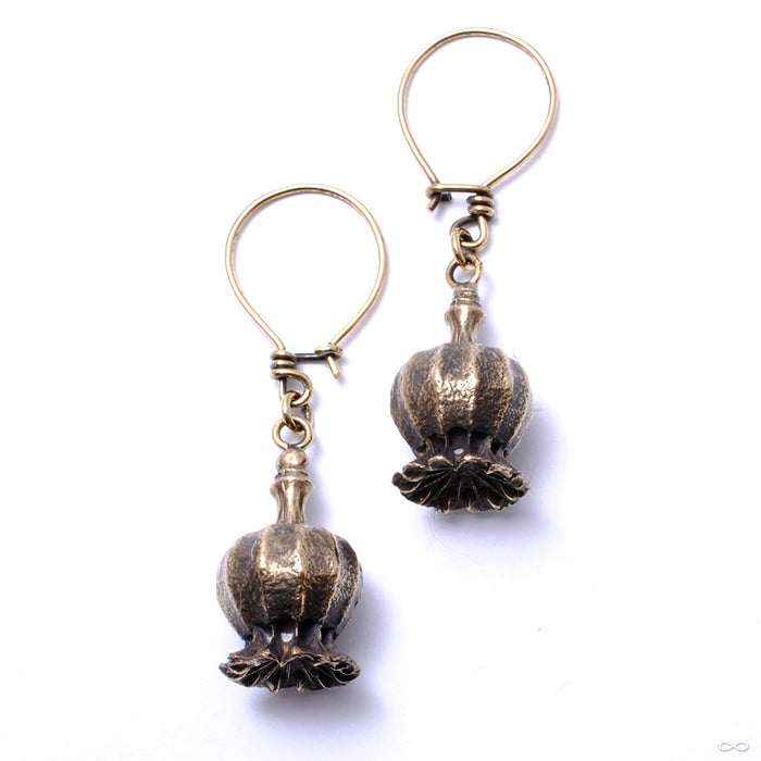 Poppy Pod Earrings from Eleven44 in brass