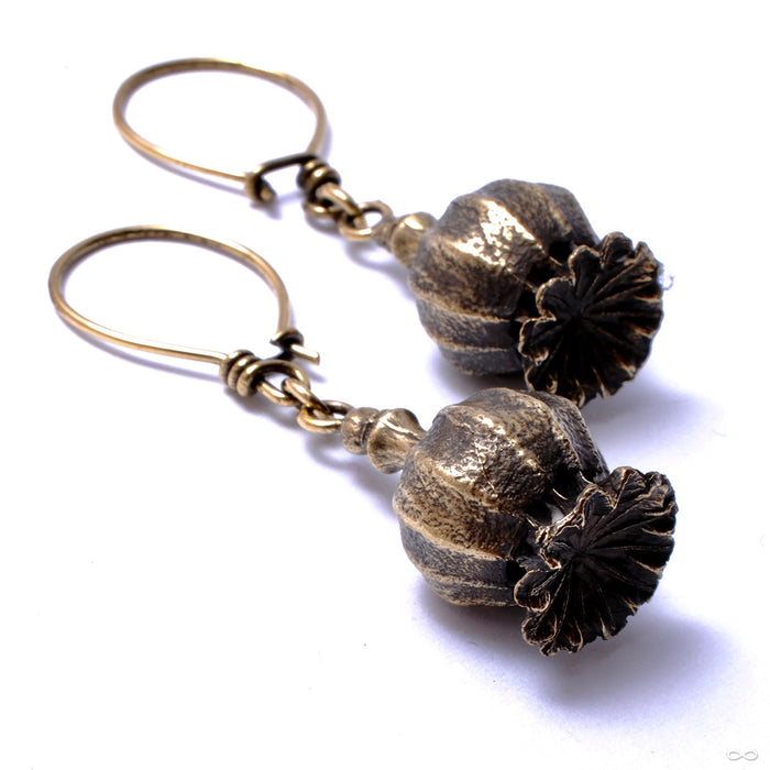 Poppy Pod Earrings from Eleven44 in brass