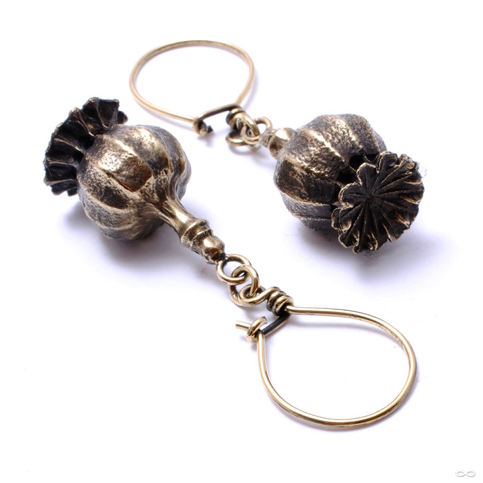 Poppy Pod Earrings from Eleven44 in brass