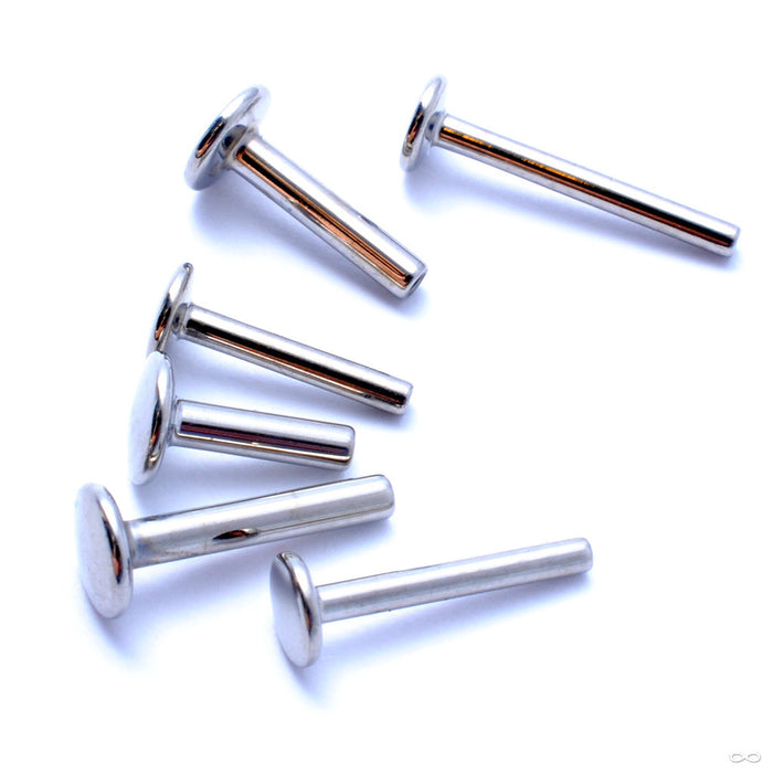 Press-fit Labret Post in Titanium from NeoMetal