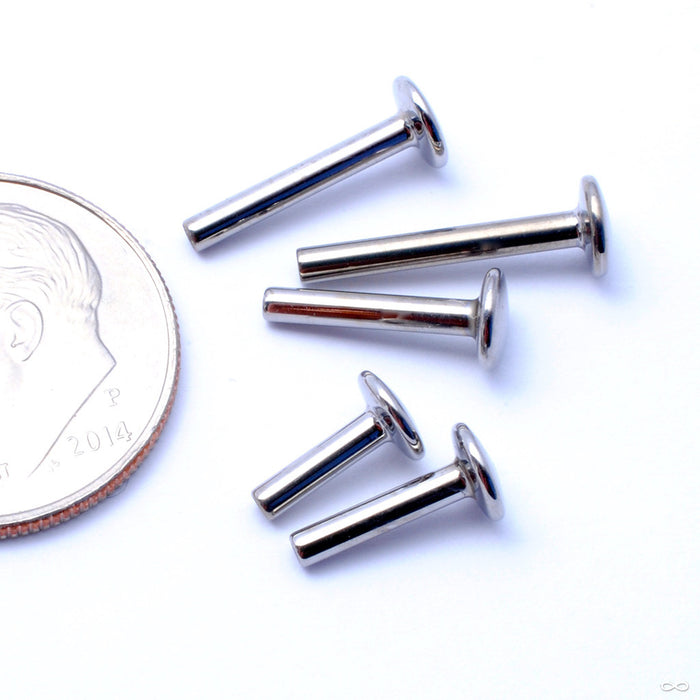 Press-fit Labret Post in Titanium from NeoMetal