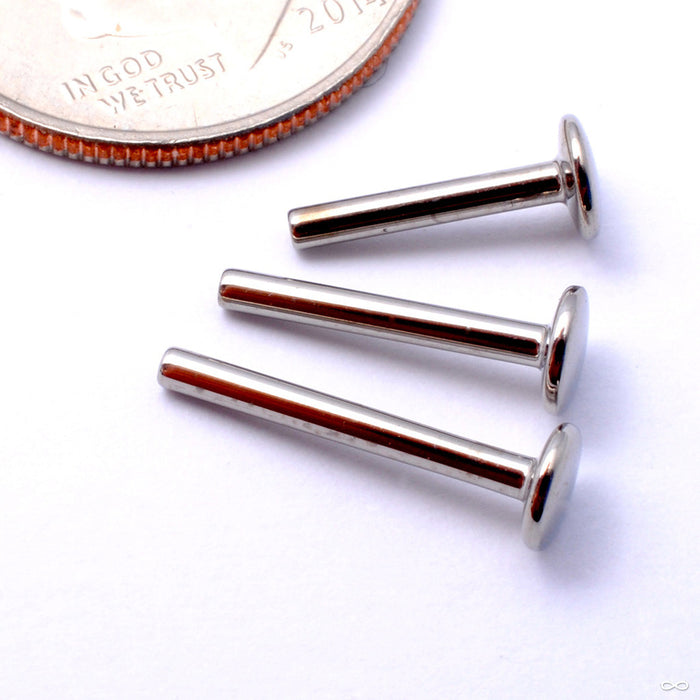 Press-fit Labret Post in Titanium from NeoMetal