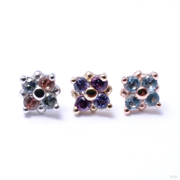 Reema Press-fit End in Gold from BVLA in assorted materials