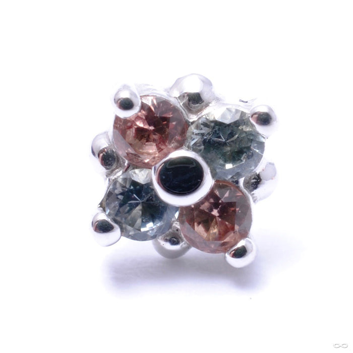 Reema Press-fit End in Gold from BVLA with Champagne Sapphire & Gray Sapphire