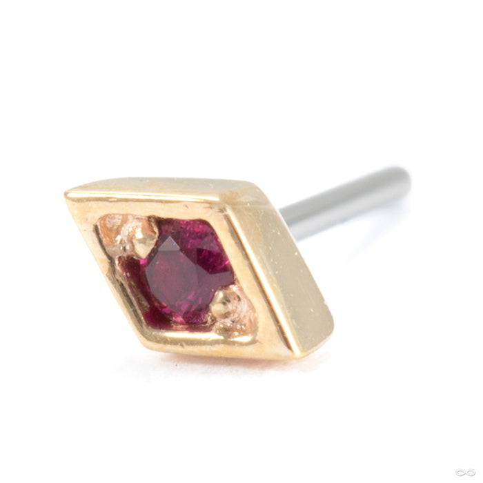 Royal Press-fit End in 14k Yellow Gold with Ruby from Modern Mood