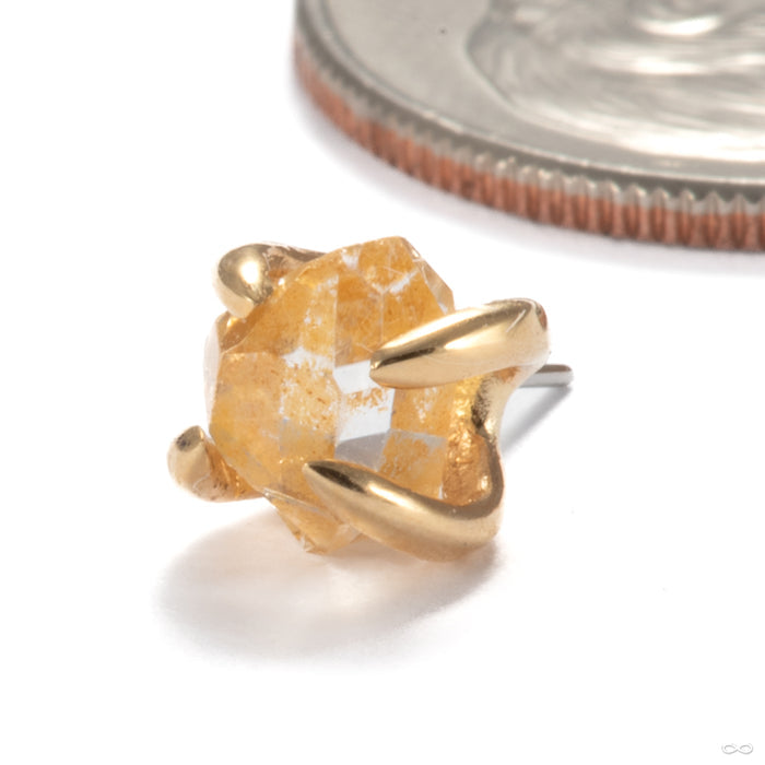 14k Yellow Gold / Golden / Small