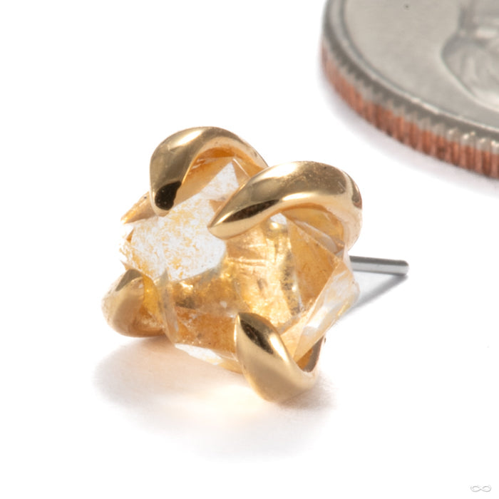 14k Yellow Gold / Golden / Medium