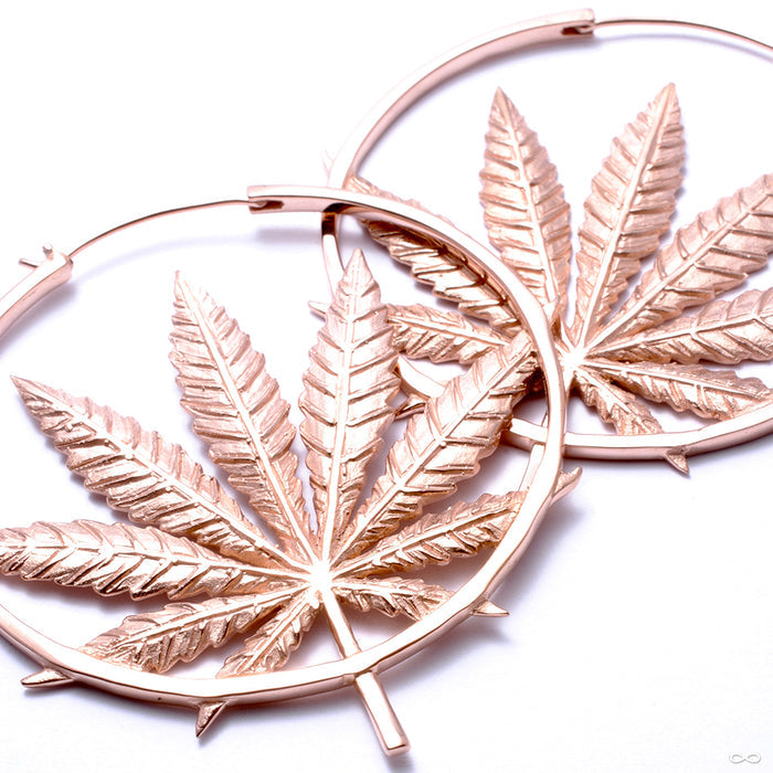 Sativa Earrings from Maya Jewelry in rose gold