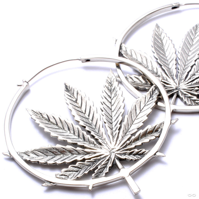 Sativa Earrings from Maya Jewelry in white brass