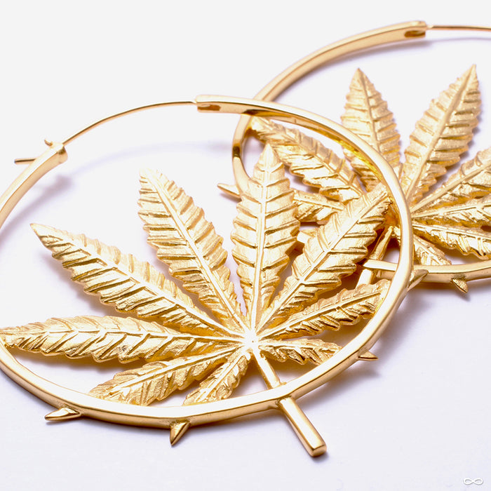 Sativa Earrings from Maya Jewelry in yellow gold