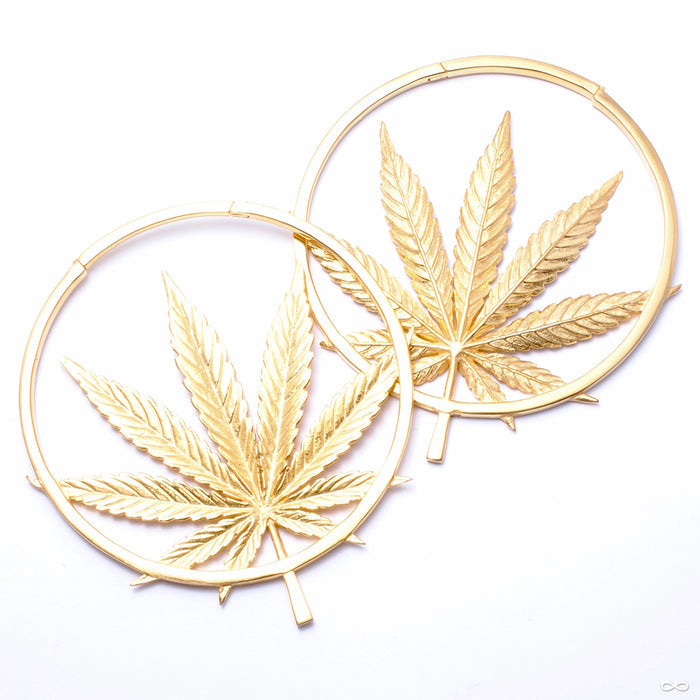 Sativa from Maya Jewelry in yellow gold