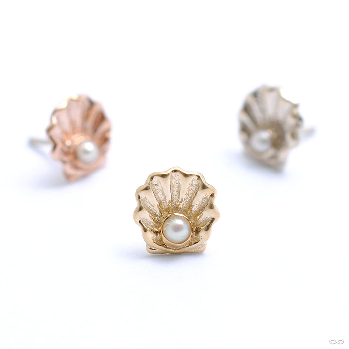Scallop Press-fit End in Gold from BVLA in assorted materials
