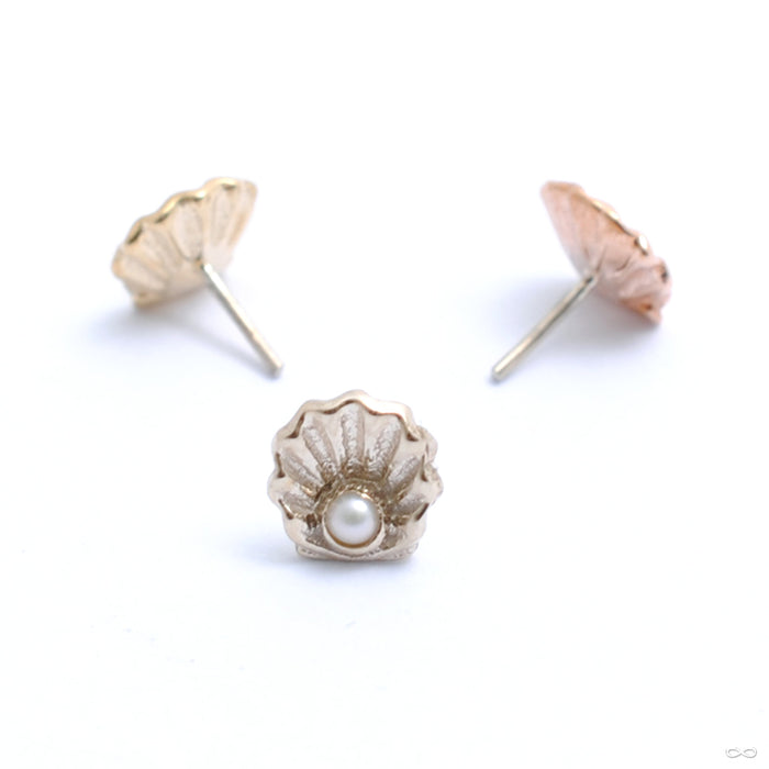 Scallop Press-fit End in Gold from BVLA in assorted materials