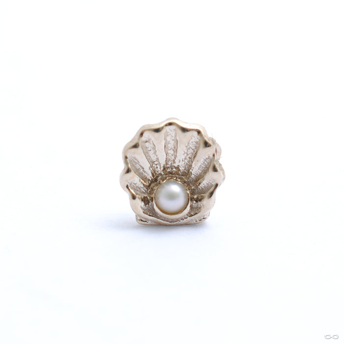 Scallop Press-fit End in Gold from BVLA with white pearl