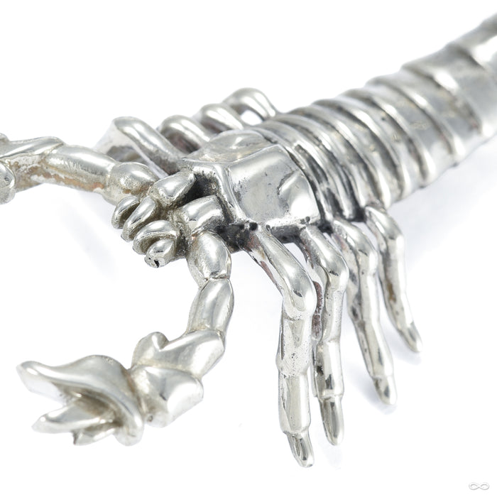Scorpion Weights from Tawapa white brass detail
